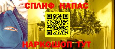 Альфа ПВП Будённовск