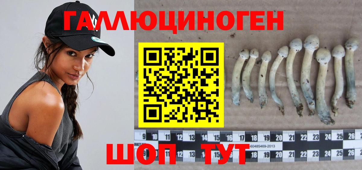 Лыткарино  как найти закладки  Вход с VPN  Псилоцибиновые грибы прущие грибы  Галлюциногенные грибы Magic Shrooms 